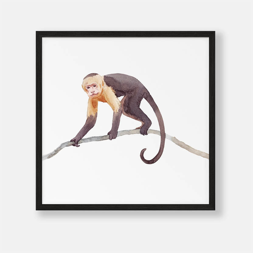 Jungle Aap op een Tak - Dieren Poster